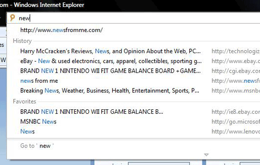 Internet Explorer 8 Address Bar