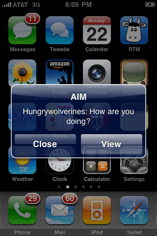 AIM for iPhone